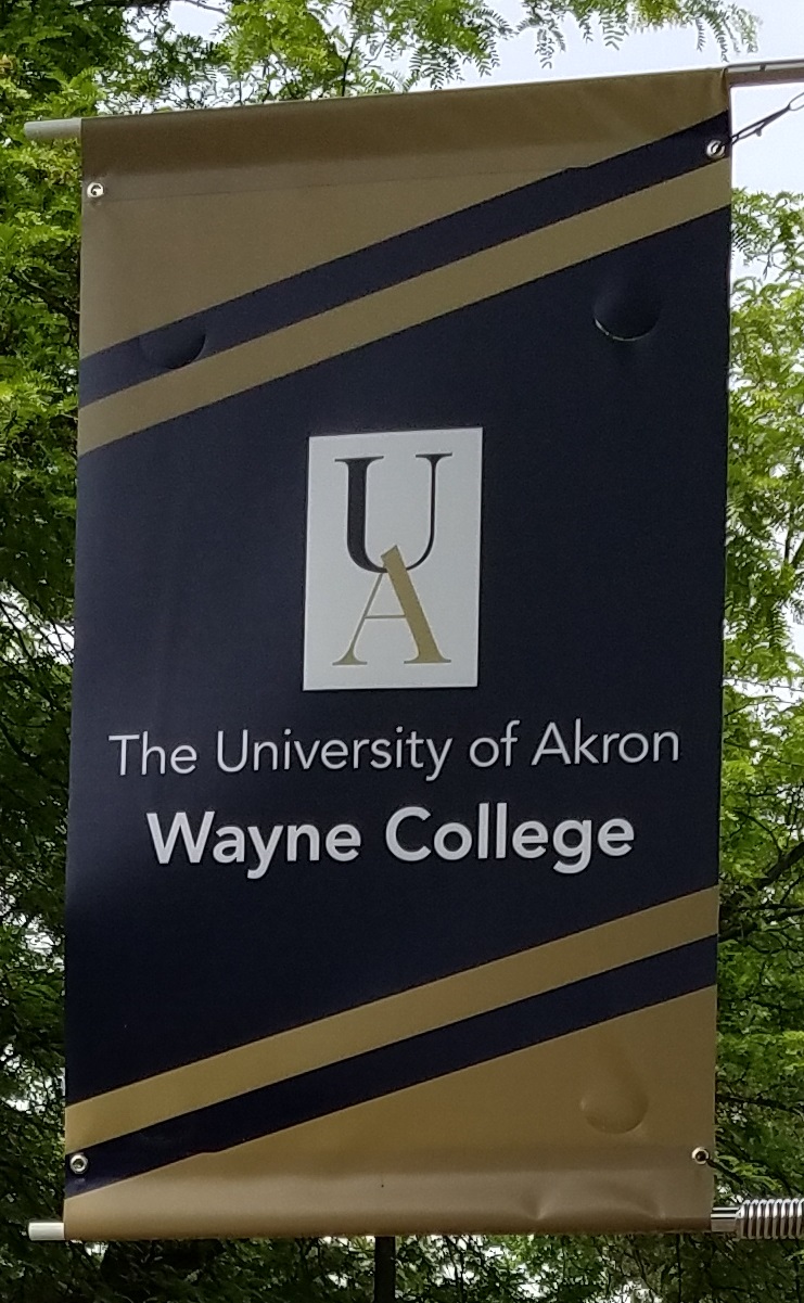 Wayne College flag